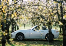 Sim Racing Steam Spring Sale 2026