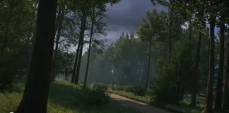 poland wrc