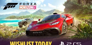 FH5 PS5