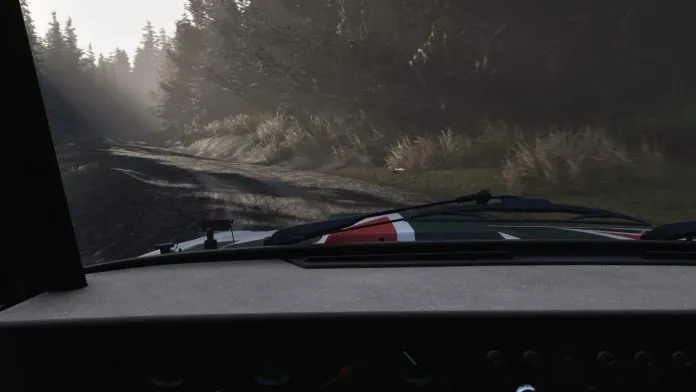 assetto corsa rally screenshots 14