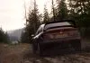 Assetto Corsa Rally Adds New Gravel Location assetto corsa rally screenshots 35