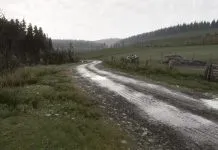 Rally Physics Compared: Richard Burns Rally versus Assetto Corsa Rally acrally07
