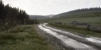 Rally Physics Compared: Richard Burns Rally versus Assetto Corsa Rally acrally07