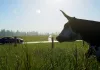 Assetto Corsa EVO Free Roam: Release Status and Everything We Know Assetto Corsa EVO Free Roam