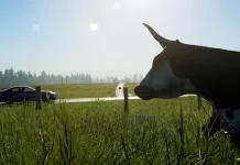 Assetto Corsa EVO Free Roam: Release Status and Everything We Know Assetto Corsa EVO Free Roam