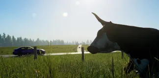 Assetto Corsa EVO Free Roam: Release Status and Everything We Know Assetto Corsa EVO Free Roam