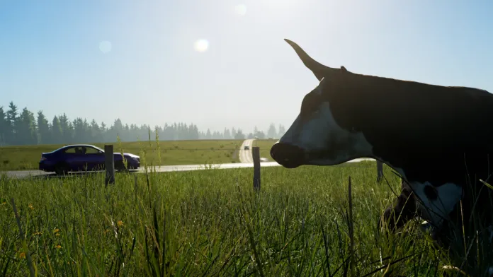 Assetto Corsa EVO Free Roam